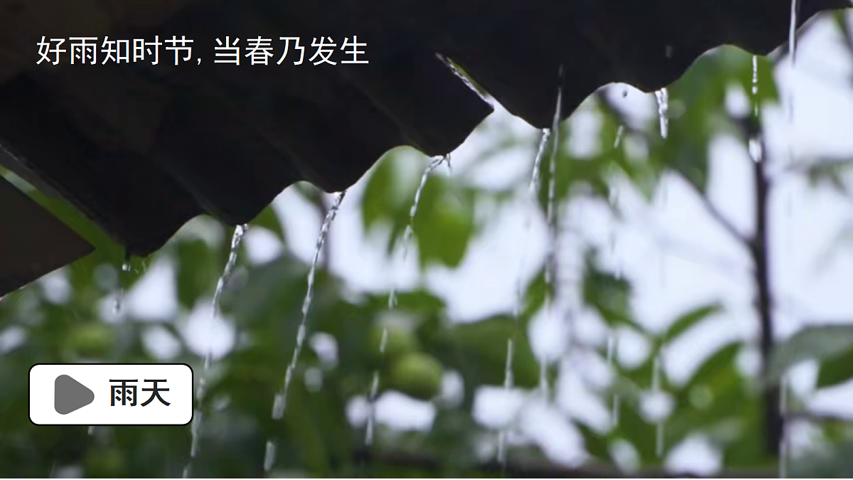 18170294第5页