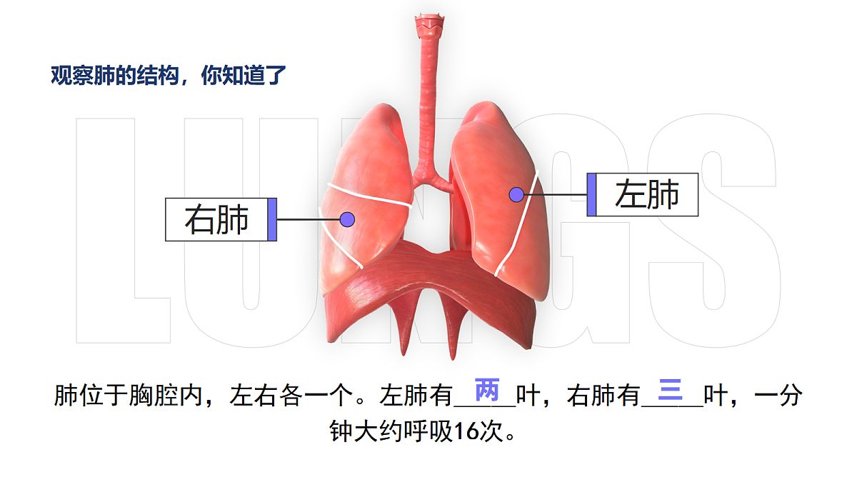 18170606第3页
