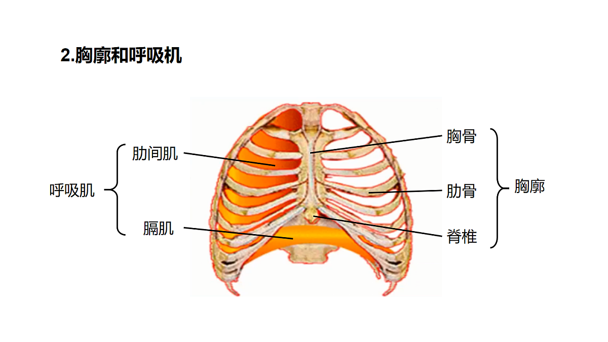 18170606第4页