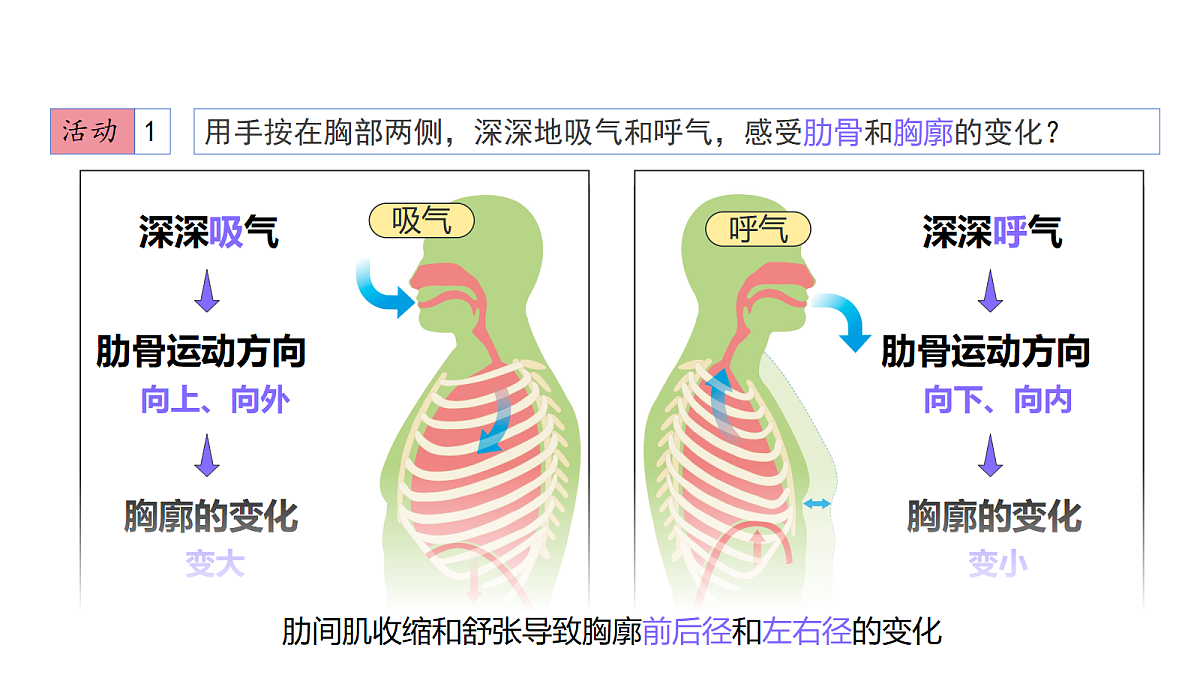 18170606第5页