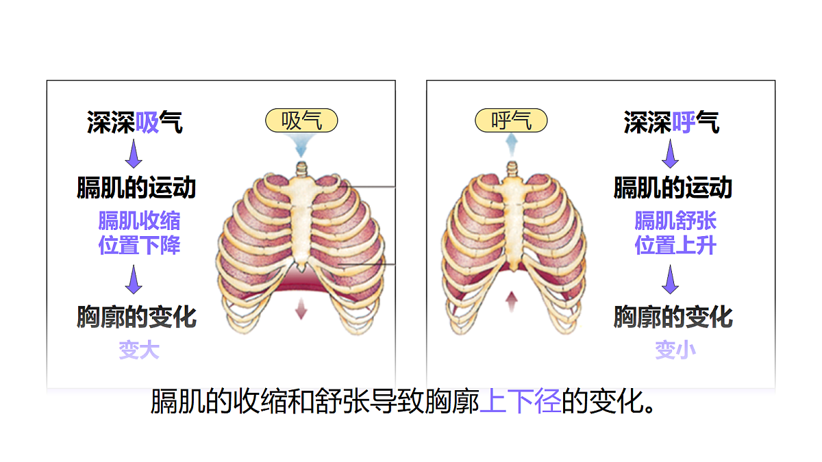 18170606第7页