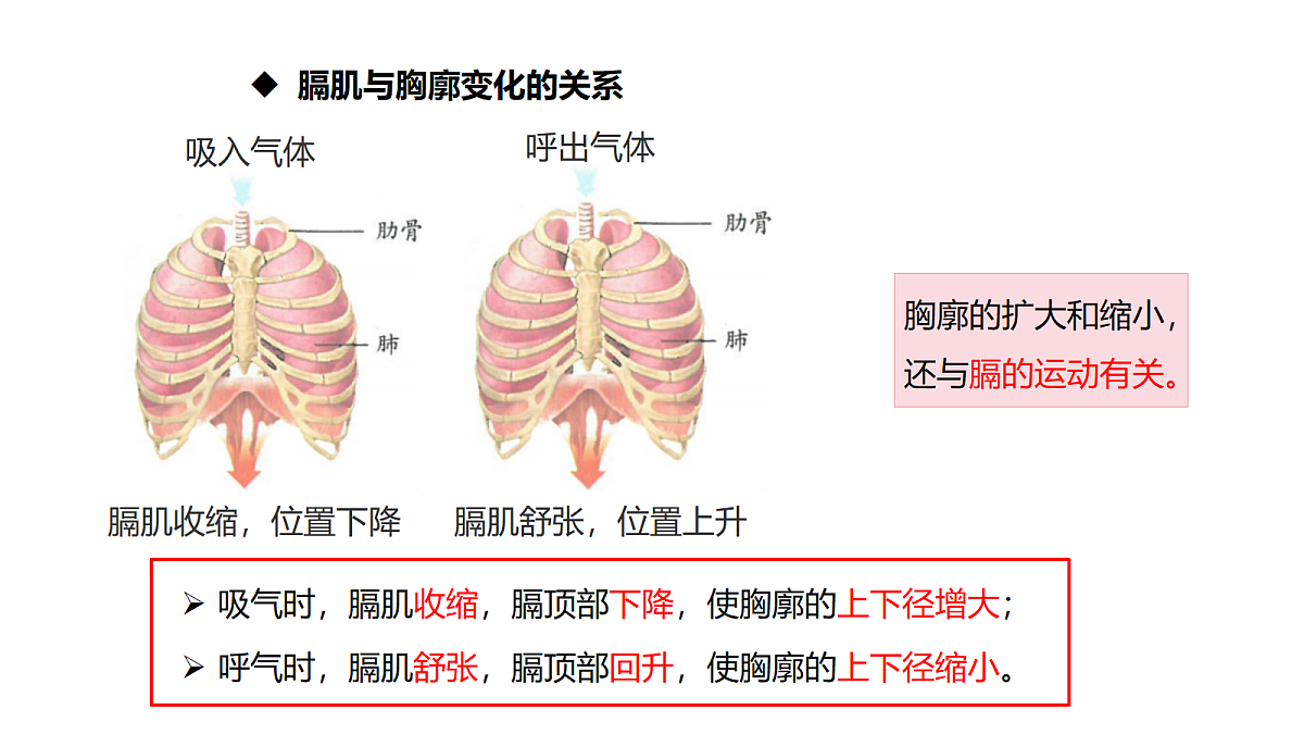 18170606第8页