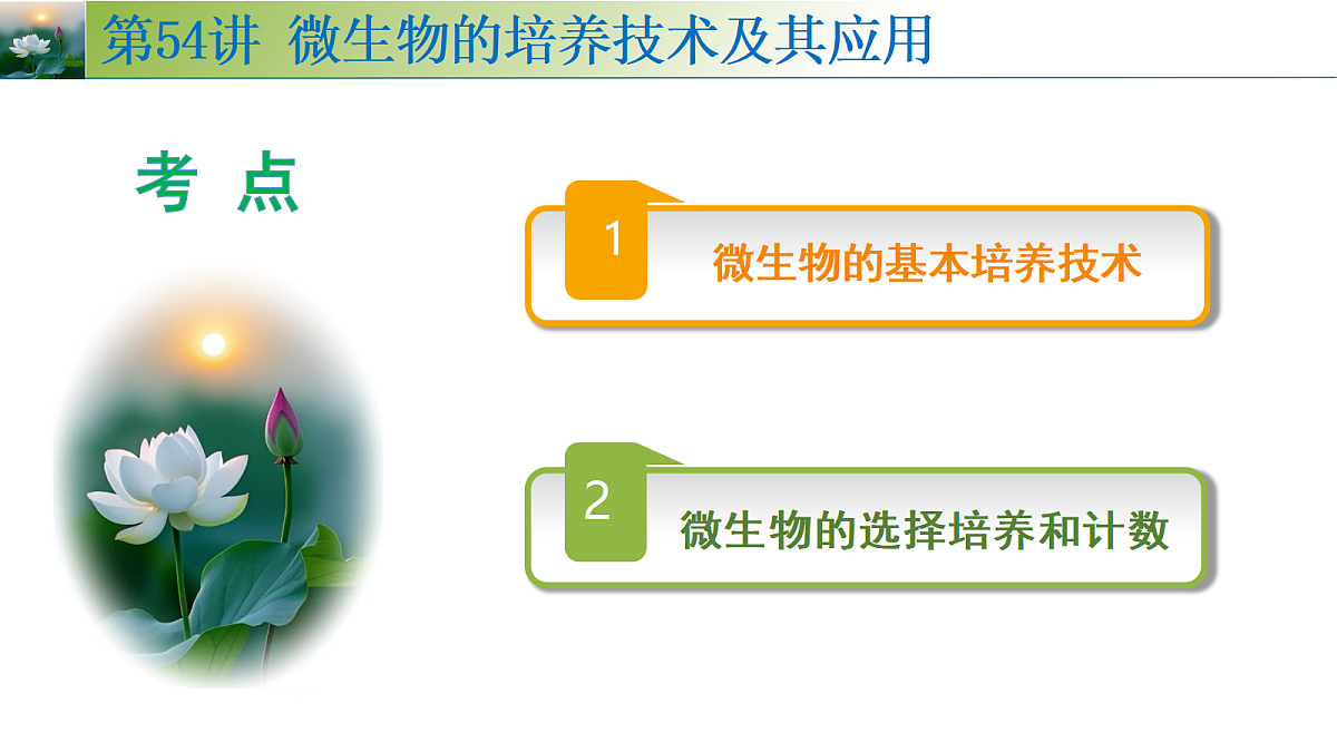 18170687第5页