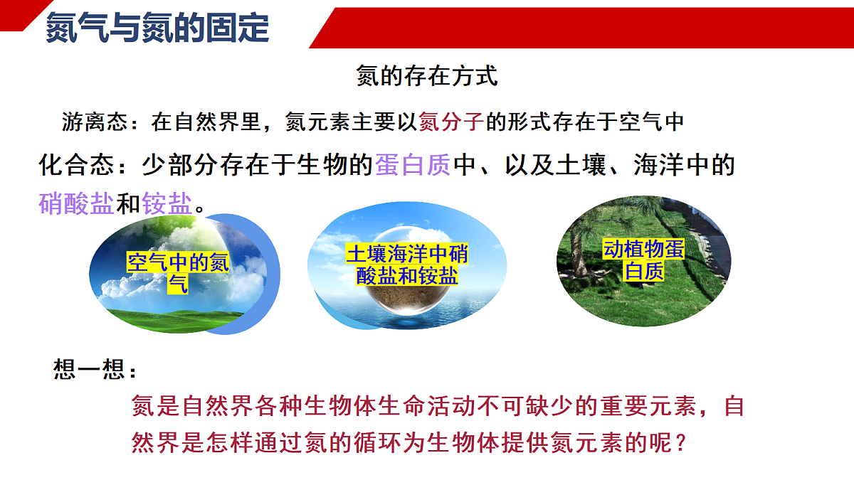 18170899第4页