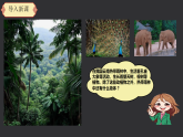《生物与非生物》课件+实验视频