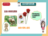 《生物与非生物》课件+实验视频