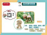 《生物与非生物》课件+实验视频
