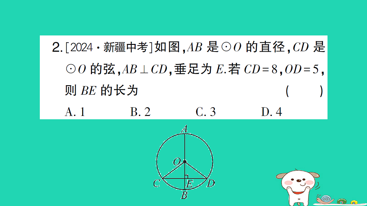 18173629第3页