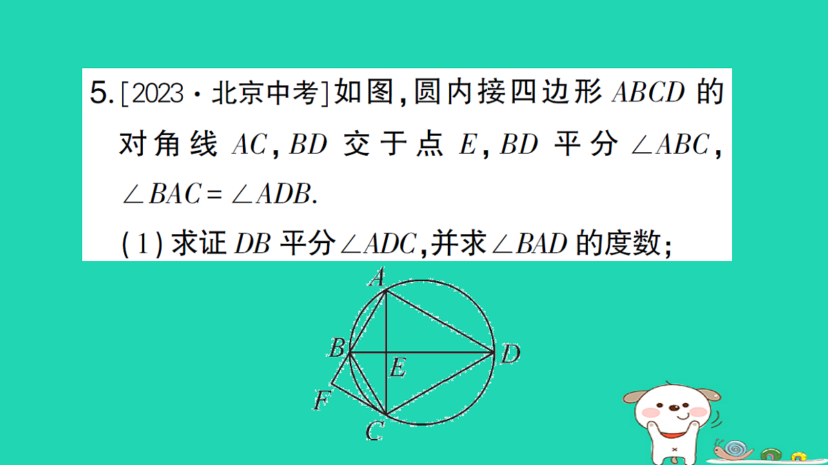 18173629第6页