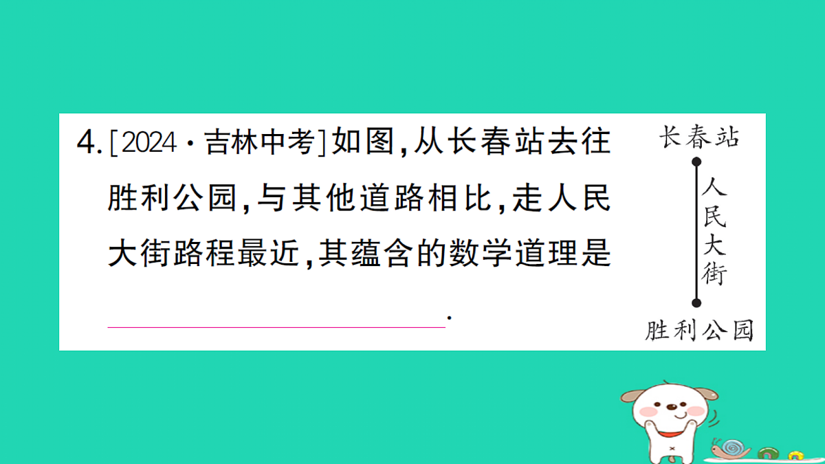 18173631第5页
