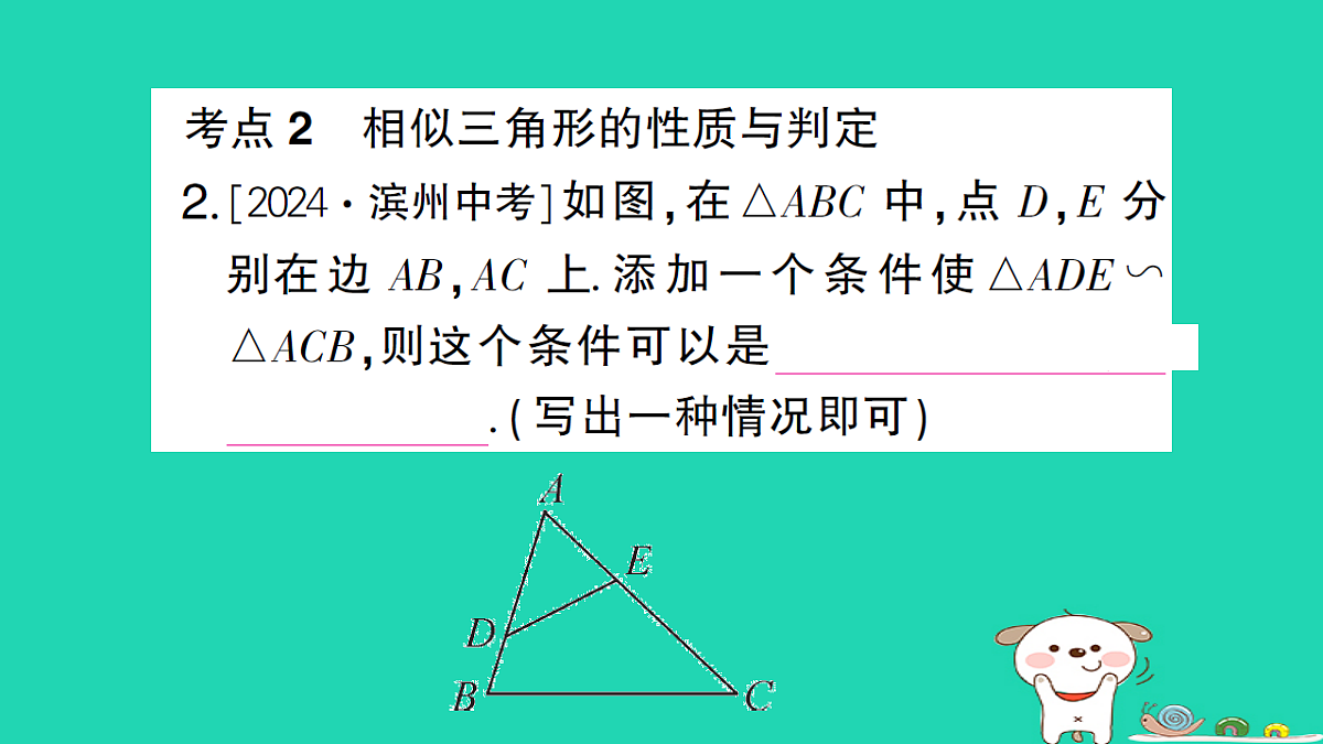 18173640第3页