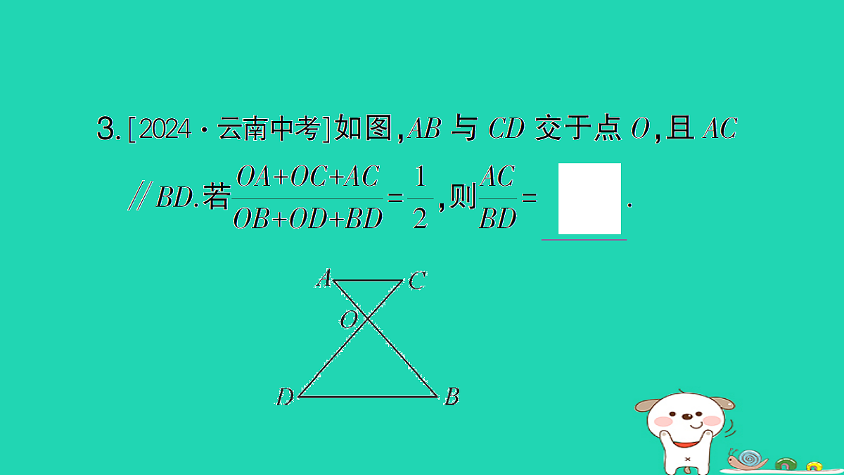 18173640第4页