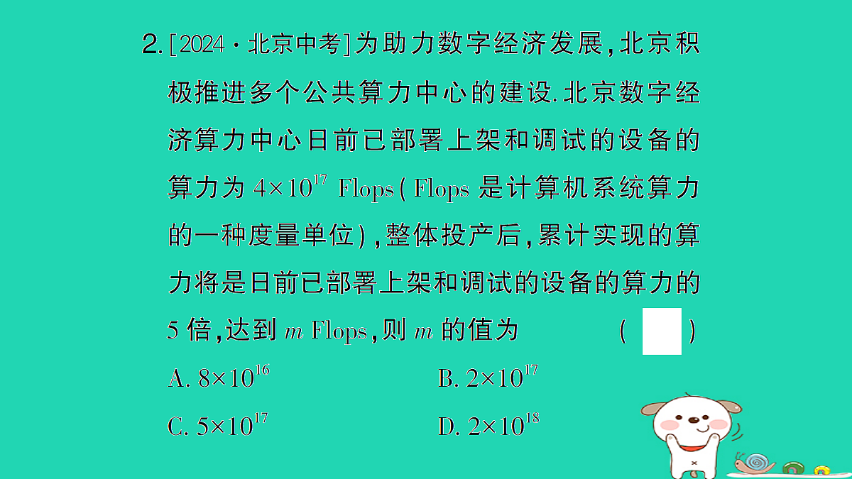 18173644第3页