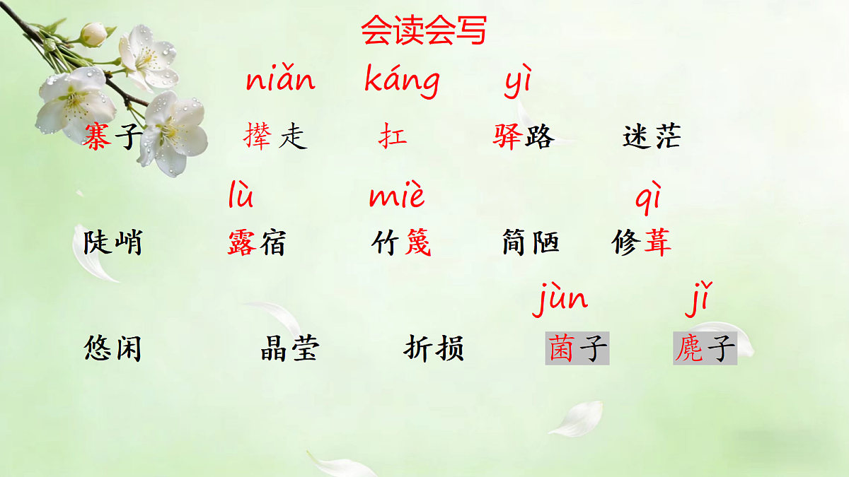 18173708第3页