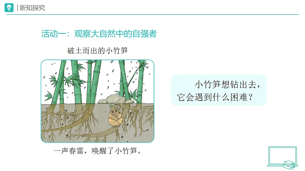 18173713第3页