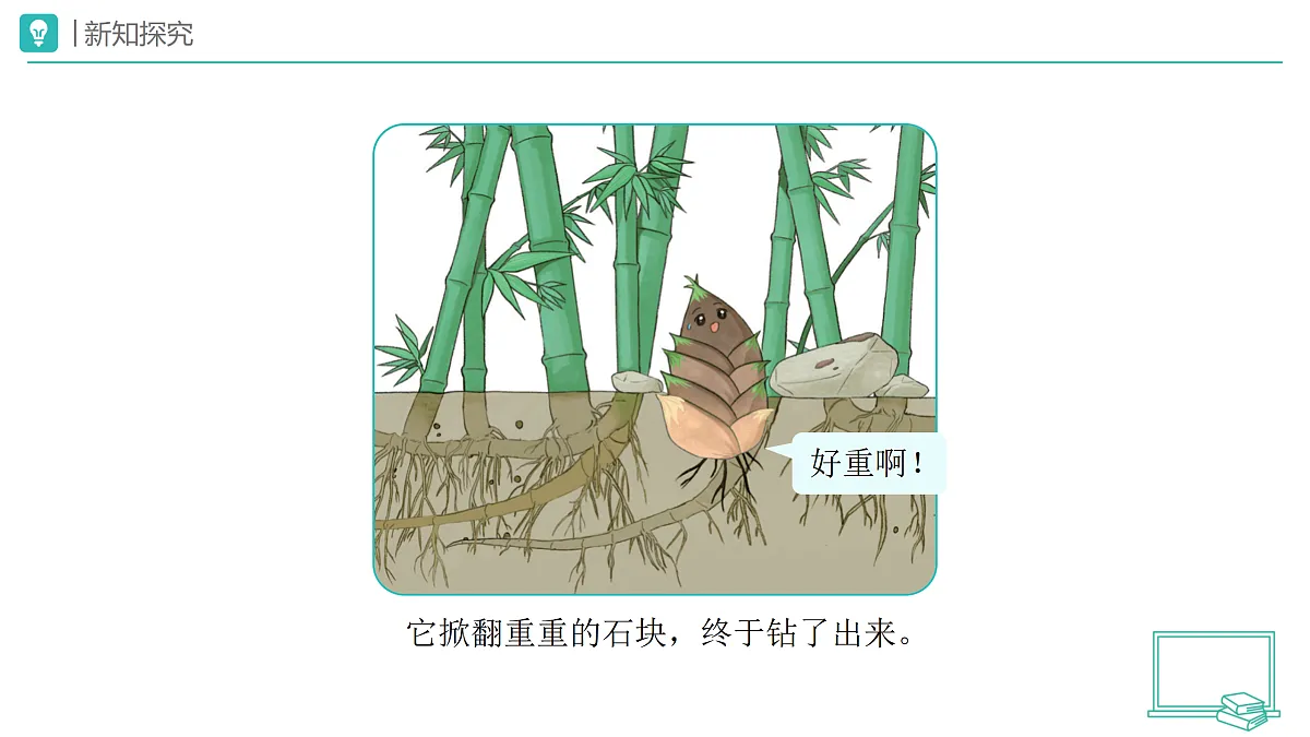 18173713第5页