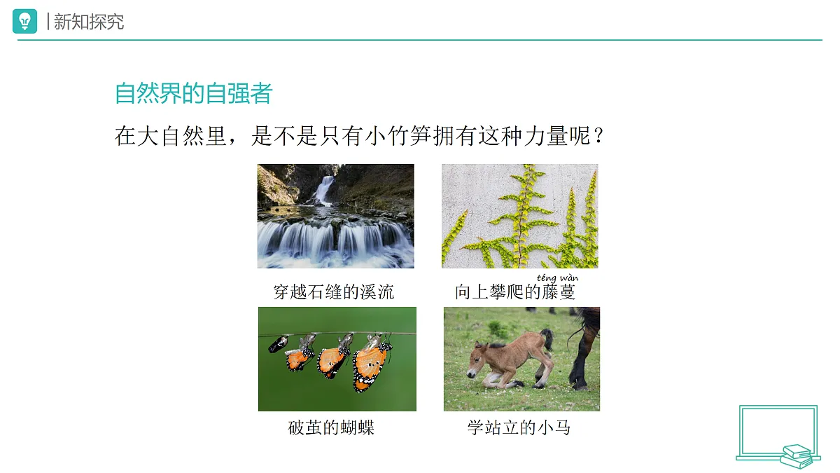 18173713第8页