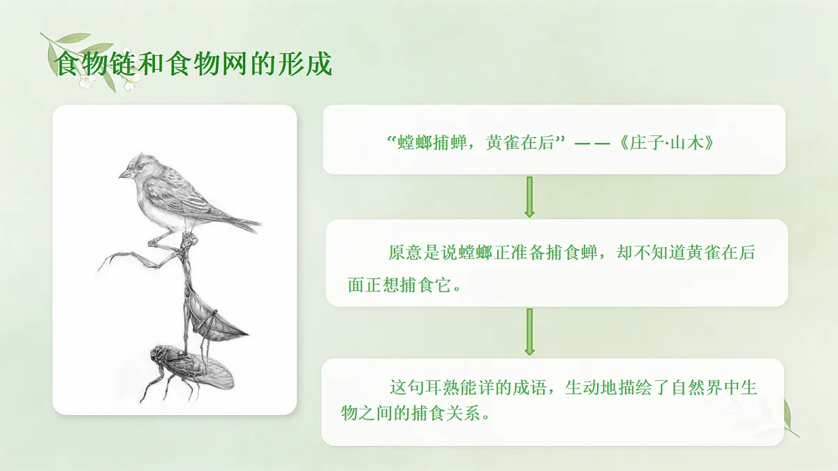 18173744第3页