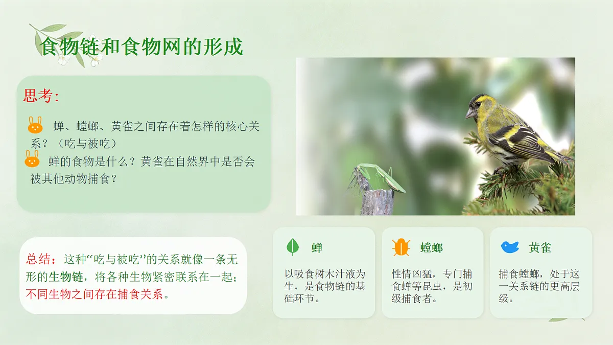 18173744第4页