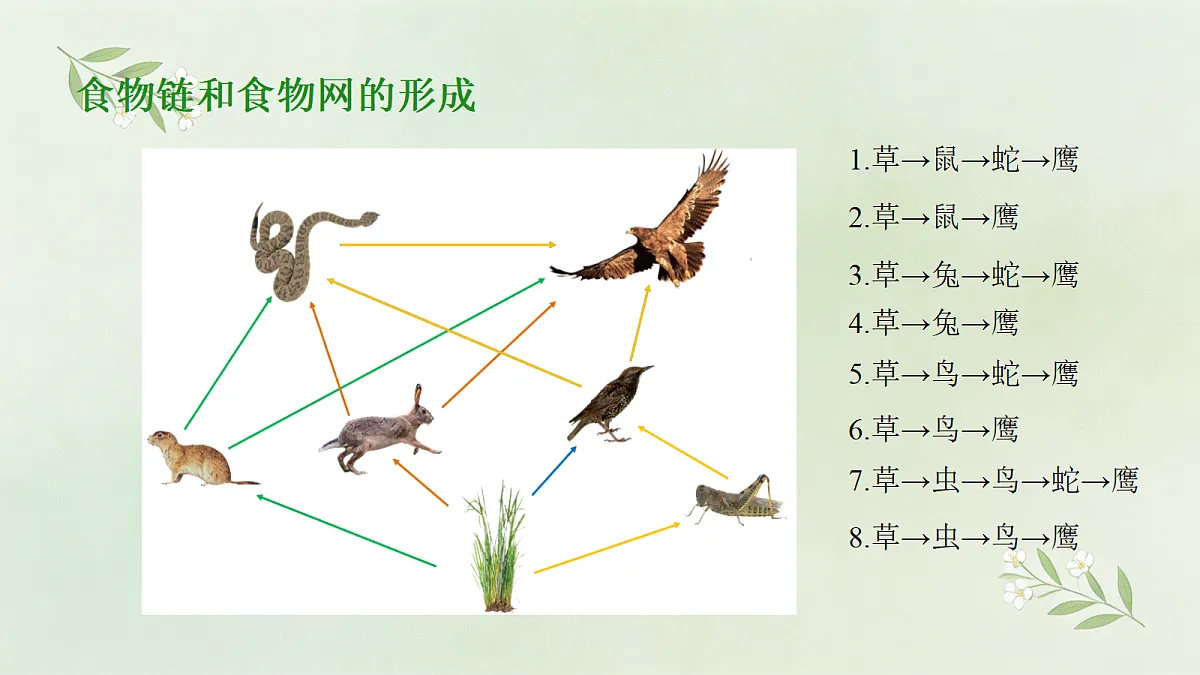 18173744第6页