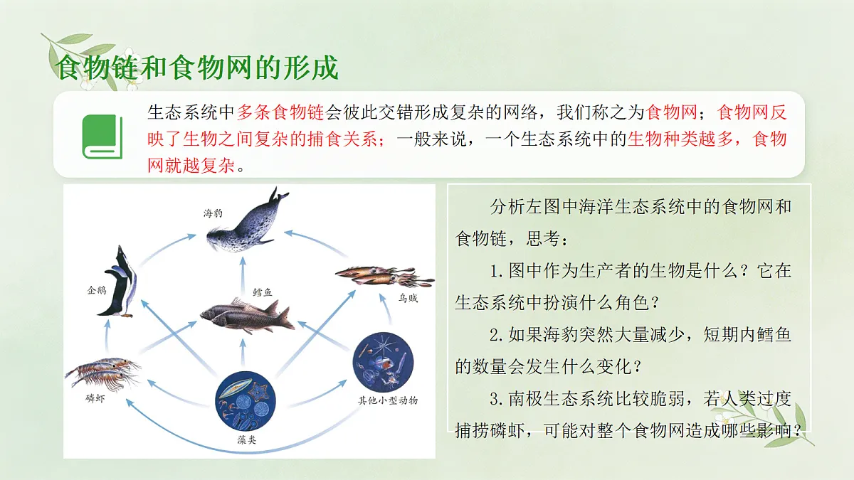 18173744第7页
