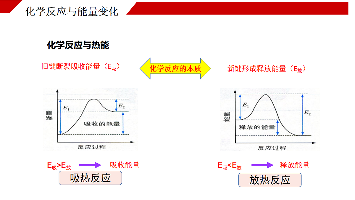 18173904第3页