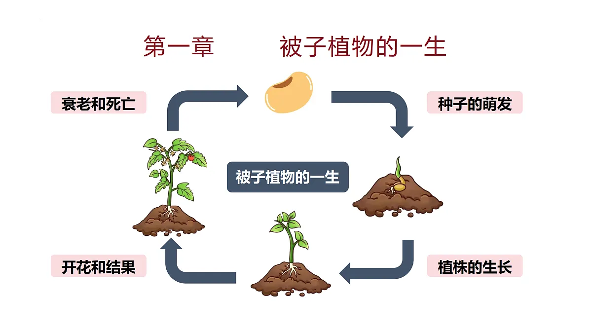 18174300第1页