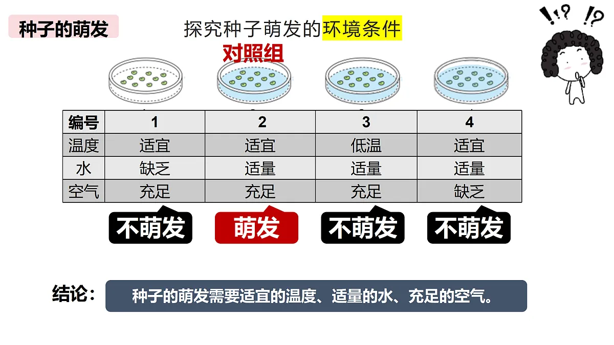 18174300第2页