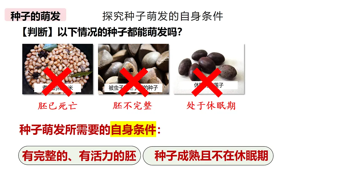 18174300第3页