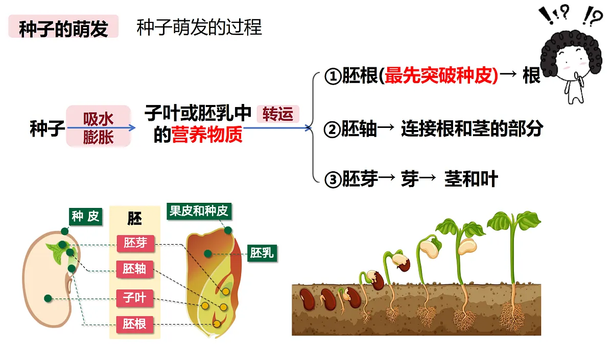 18174300第4页