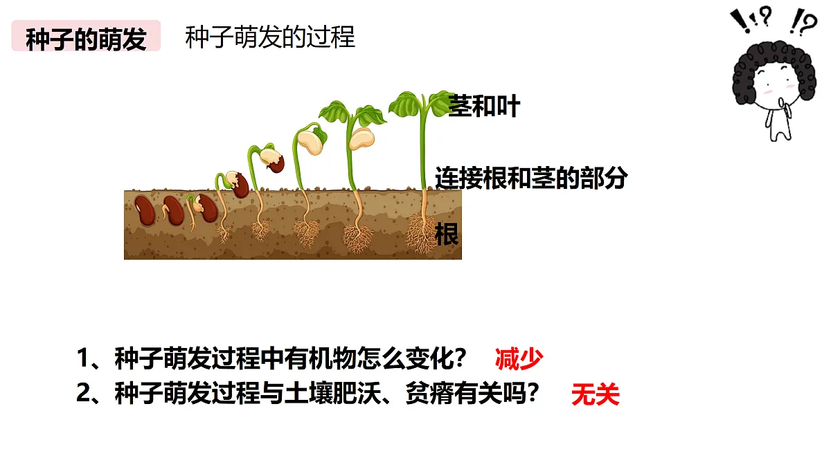 18174300第5页