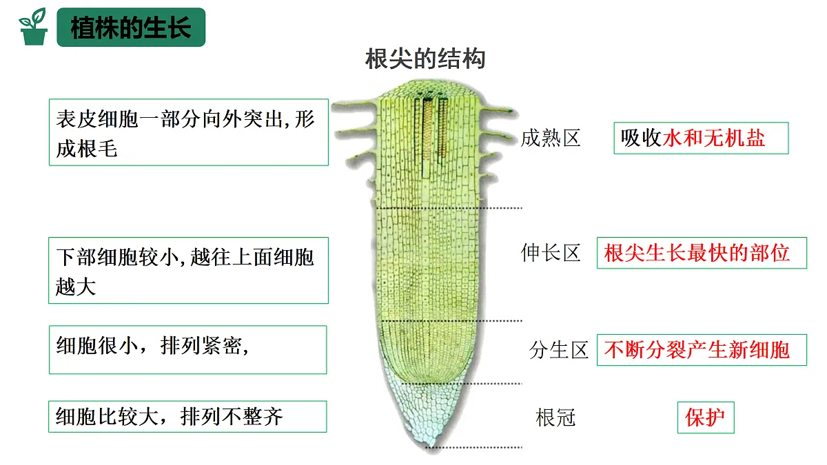 18174300第7页