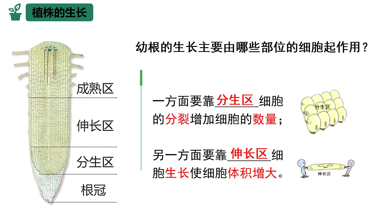 18174300第8页