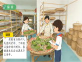 2.3 迎接蚕宝宝的到来 课件 小学科学教科版三年级下册（2024）课件