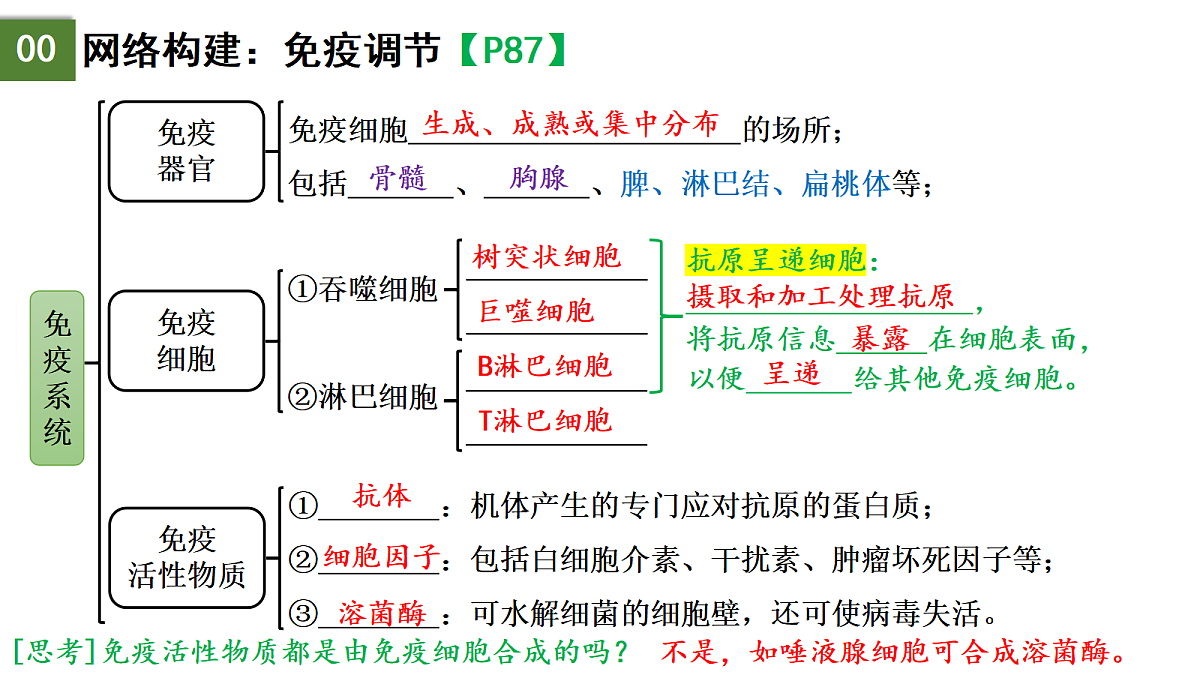 18175439第3页