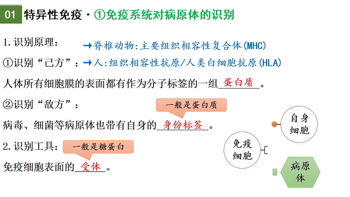18175439第4页