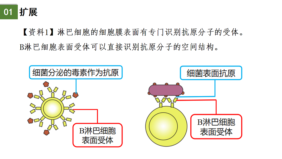 18175439第5页