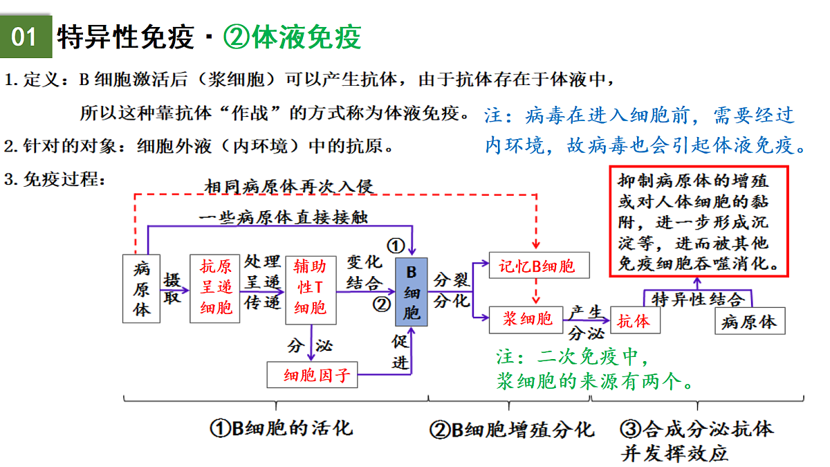 18175439第7页