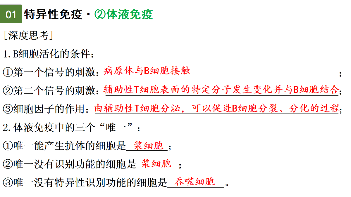 18175439第8页
