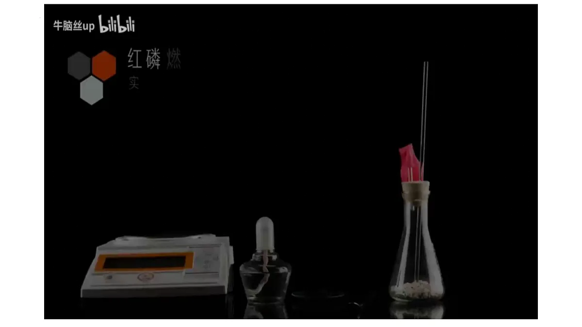 18175479第5页