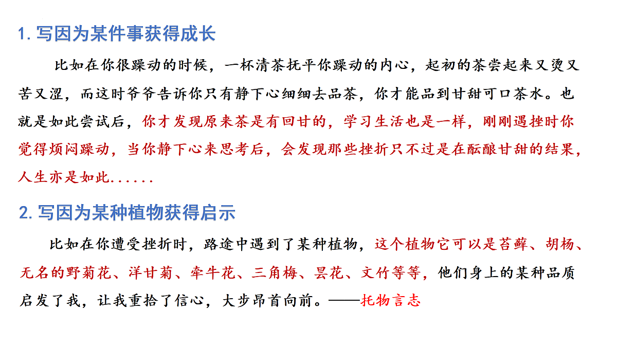 18175485第8页