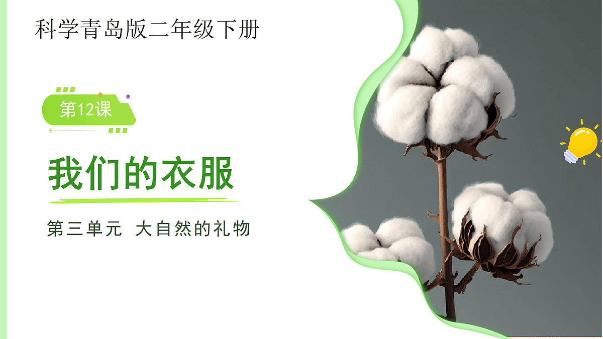 18175496第1页