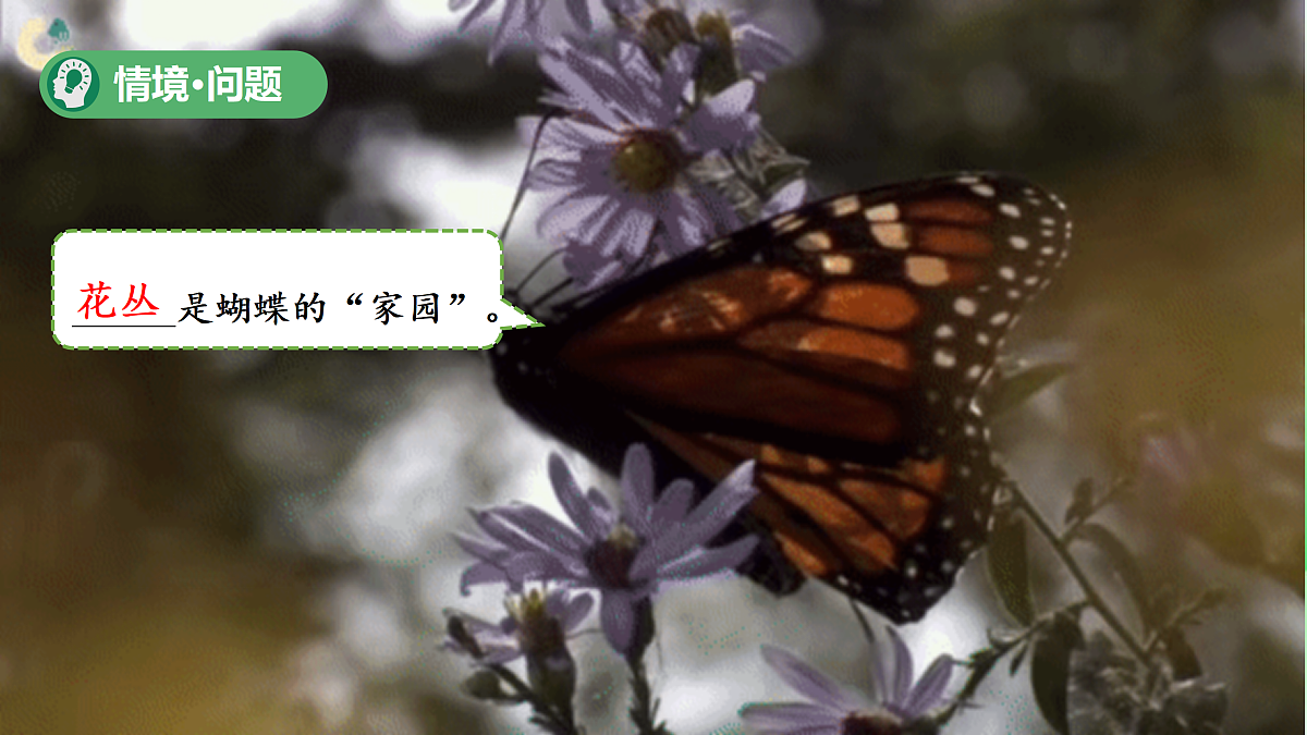 18175497第2页