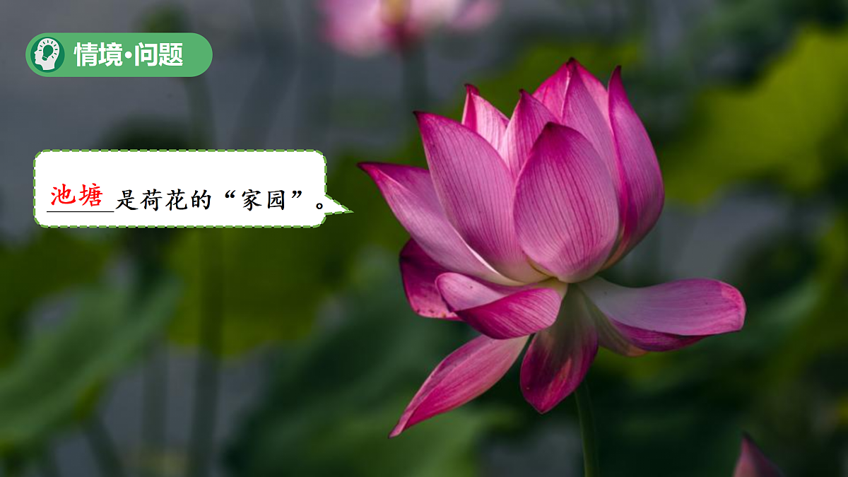 18175497第3页