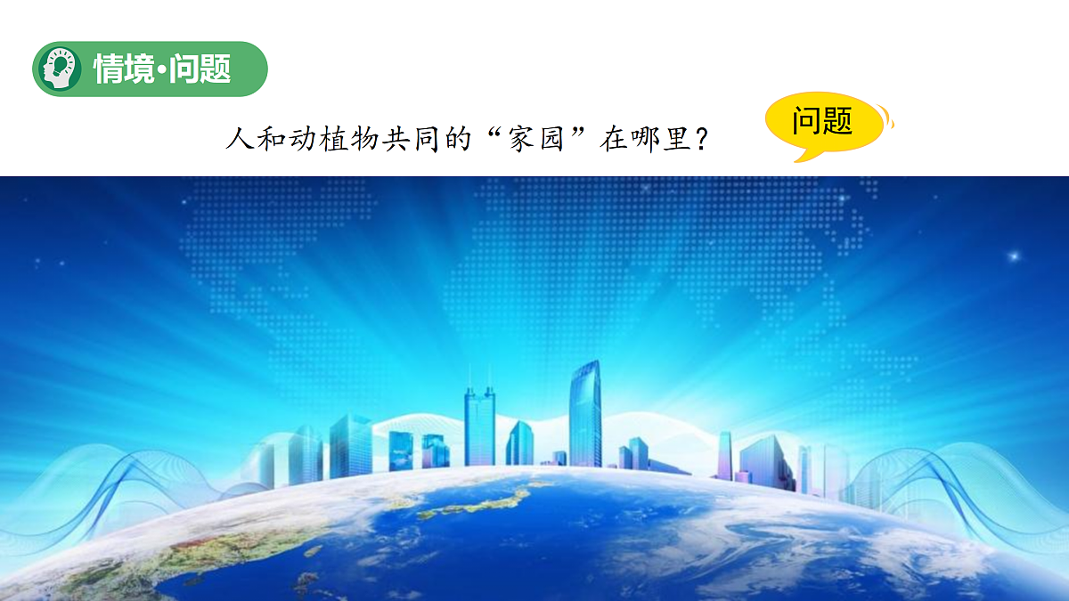 18175497第4页