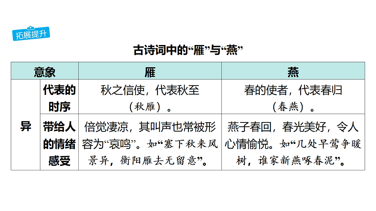 18175611第8页