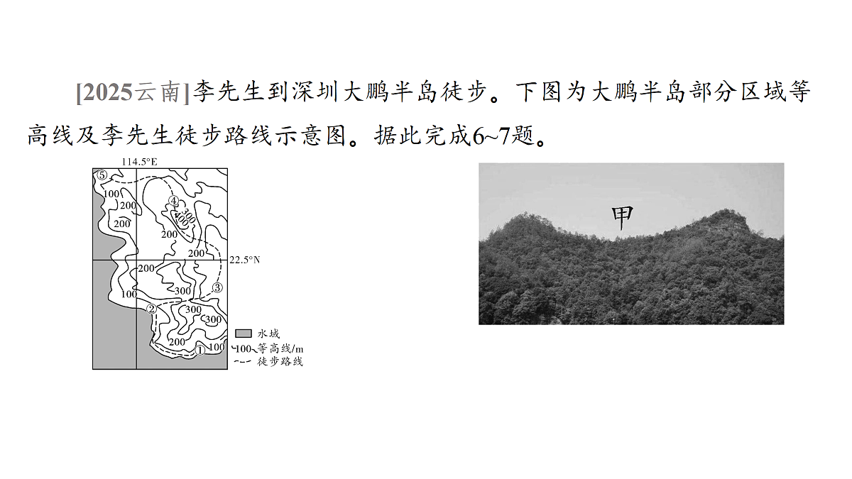 18175621第7页