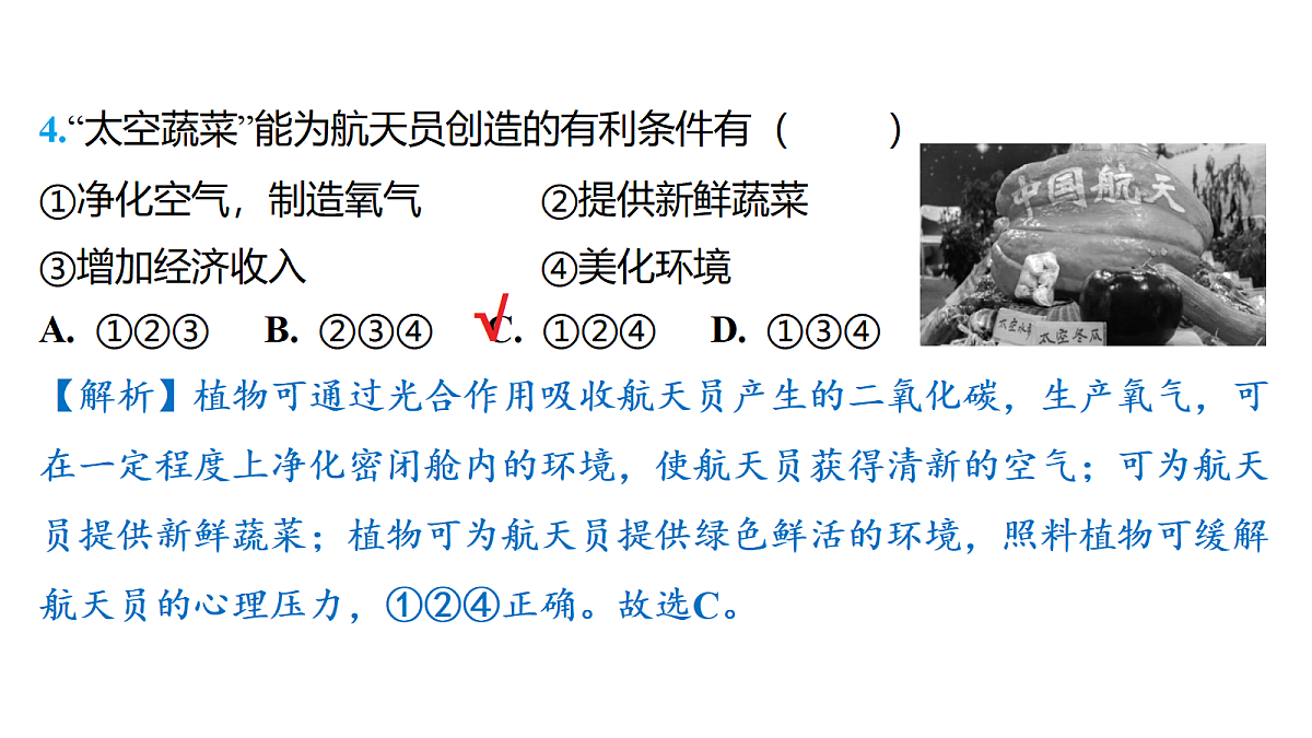 18175622第8页