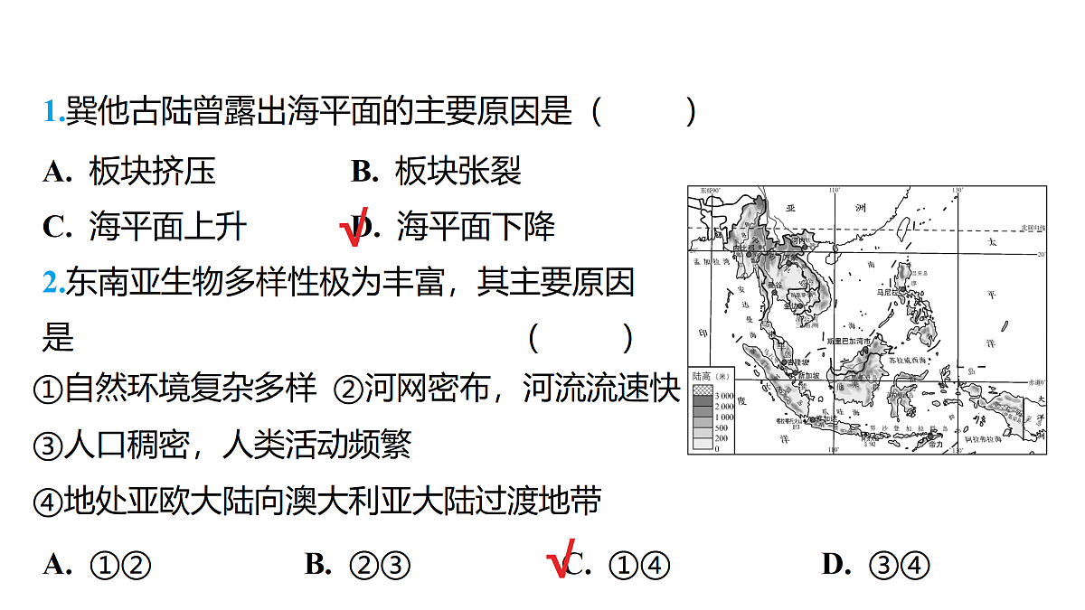 18175628第3页