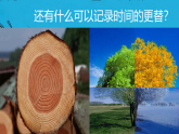 第8课《时间的脚印》课件-2025-2026学年统编版语文八年级下册